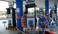 Phó Thủ tướng Vương Đình Huệ: Điều hành giá xăng dầu theo nguyên tắc hài hòa