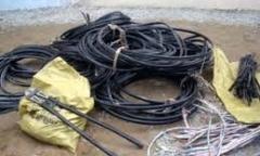 Băng trộm dây cáp điện lãnh 45 năm tù
