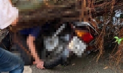 Tin tức tai nạn giao thông mới nhất hôm nay 30/8/2019: Nam thanh niên đi xe máy bị cây đè tử vong
