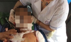 Tin tức đời sống mới nhất ngày 21/4/2019: Bé trai 7 tuổi bị chó nhà cắn chết 