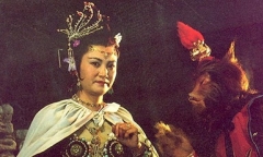 Vì đâu 