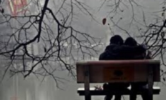 Khách đặt bó hoa 35 triệu đồng dịp Valentine, shop thuê xe bán tải vận chuyển