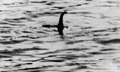 Bí ẩn quái vật hồ Loch-ness: Bất ngờ kết quả báo cáo nghiên cứu mới nhất 