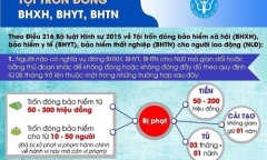 Đề nghị xem xét, xử lý hình sự đối với những đơn vị, doanh nghiệp trốn đóng bảo hiểm