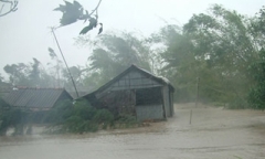 Video: Sau hơn 1 giờ bão số 13 đổ bộ, Quảng Bình tan hoang, xơ xác