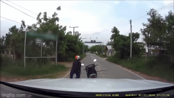 Video: Giật mình người đàn ông tay không tóm gọn con rắn chỉ với một cú quật