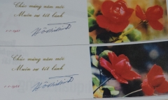 Điều đặc biệt ở tấm bưu thiếp hoa hồng chúc mừng năm mới của nhiếp ảnh gia già