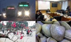 Tin tức thời sự 24h mới nhất ngày 24/1