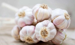 4 mẹo chữa ho bằng tỏi giúp bạn tránh xa thuốc kháng sinh