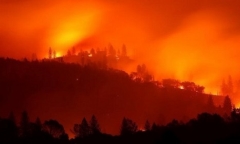 Thảm họa cháy rừng ở California: Tiến hành nhận dạng các nạn nhân qua ADN