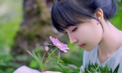 Dung nhan mê hoặc của 