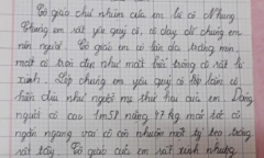 Bài văn miêu tả cô giáo khiến dân tình cười ngất, câu cuối còn bày tỏ