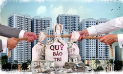 Sửa quy định quản lý kinh phí bảo trì nhà chung cư, quy trách nhiệm chủ đầu tư - Bài 1: Về quản lý kinh phí bảo trì nhà chung cư