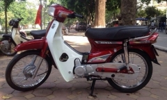 Choáng ngợp trước những