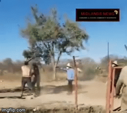Phàn nàn về lương, 2 công nhân ở Zimbabwe bị ông chủ Trung Quốc nổ súng bắn