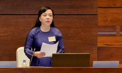 Tin tức thời sự 24h mới nhất ngày 6/6