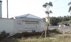 Đại gia thủy sản Tòng 