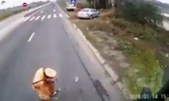 Vụ 