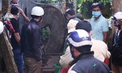 Bàng hoàng phát hiện thi thể người phụ nữ đang phân hủy dưới giếng