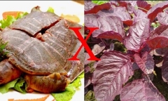 Những sai lầm cực nguy hiểm khi ăn rau dền cần loại bỏ ngay