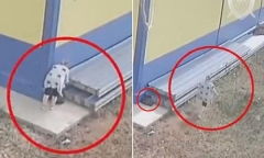 Tin tức đời sống mới nhất ngày 11/9/2019: Bà mẹ tự sinh con 1 mình và hành động gây sửng sốt sau đó