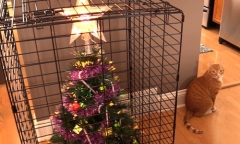 Trào lưu tự làm thiệp giáng sinh vui nhộn gửi cho bạn bè người thân 