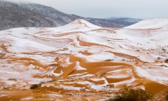 Tuyết rơi trên sa mạc Sahara sau gần 40 năm 