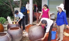 Phun hóa chất diệt muỗi không chết: Chuyên gia lý giải chỉ tại con...bọ gậy