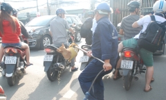 Dùng vợt sắt bắt chó thả rông có