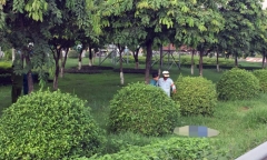 Nhậu say rồi chở bạn về nhà, thiếu nữ không biết bạn ngã tử vong