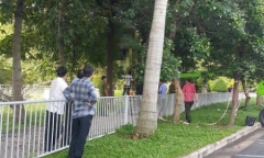 Phát hiện người đàn ông treo cổ trên cây ở sân bay Tân Sơn Nhất