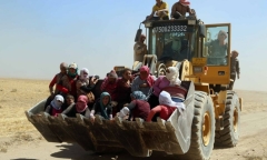 Cố vấn chính phủ Iraq: IS có đến 100.000 chiến binh