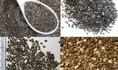 Lợi ích  không ngờ và cách sử dụng hạt chia 