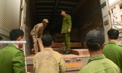 Ngụy trang gỗ quý dưới xe chở nông sản để qua biên giới