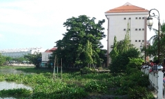 Phát hiện thi thể bà lão trên sông Sài Gòn