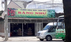 Xử phạt hành chính vợ chồng chủ tiệm mứt ở Đà Lạt đánh khách ngất xỉu