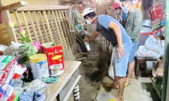 Người chôn xác chị gái dưới gầm giường: 