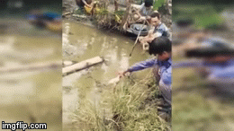 Video: Choáng với màn câu cá bằng dụng cụ 