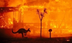 Hơn 180 người bị xử phạt vì các hành vi gây ra cháy rừng ở Australia