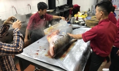 Máy bay chuyển cá tra