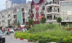 Chùm ảnh: Cỏ dại mọc um tùm trên các tuyến phố Thủ đô