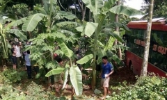 Xe máy va chạm xe khách, 2 mẹ con tử vong