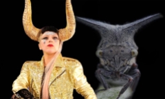 Tên của Lady Gaga được đặt cho một loài châu chấu có sừng