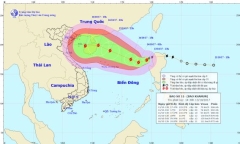 Dự báo thời tiết ngày 14/10: Biển Đông xuất hiện bão số 11, giật cấp 10