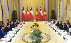 Chủ tịch nước Trần Đại Quang hội đàm với Tổng thống Chile Michelle Bachelet