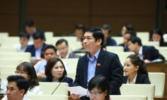 Đại biểu Quốc hội: Nhiều đàn ông bị vợ đánh, hắt hủi