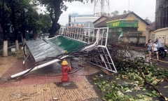106 người chết, 25 người mất tích do bão số 12