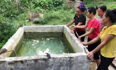 Người cha ngã gục chứng kiến 2 con trai chết đuối trong bể nước