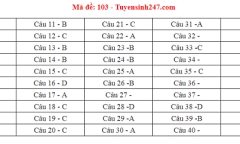 Đáp án, đề thi môn Toán mã đề 103 THPT quốc gia 2018