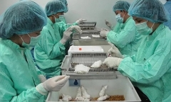 Việt Nam tiến hành đợt 2 tiêm thử nghiệm vaccine Covid-19 trên chuột